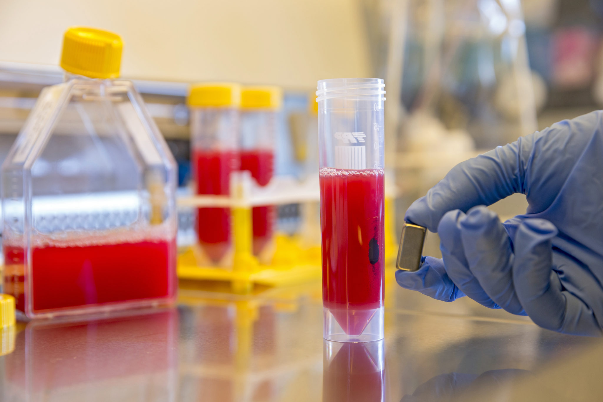 Nanomagnete im Labortest – die Teilchen fischen Giftstoffe aus einer verdünnten Blutprobe.