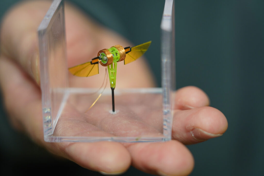 Insektengrosser Roboter mit Flügeln