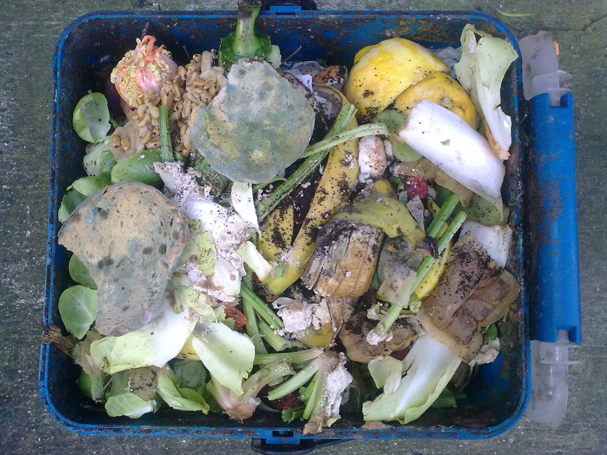 Lebensmittel/Kompost im Abfall