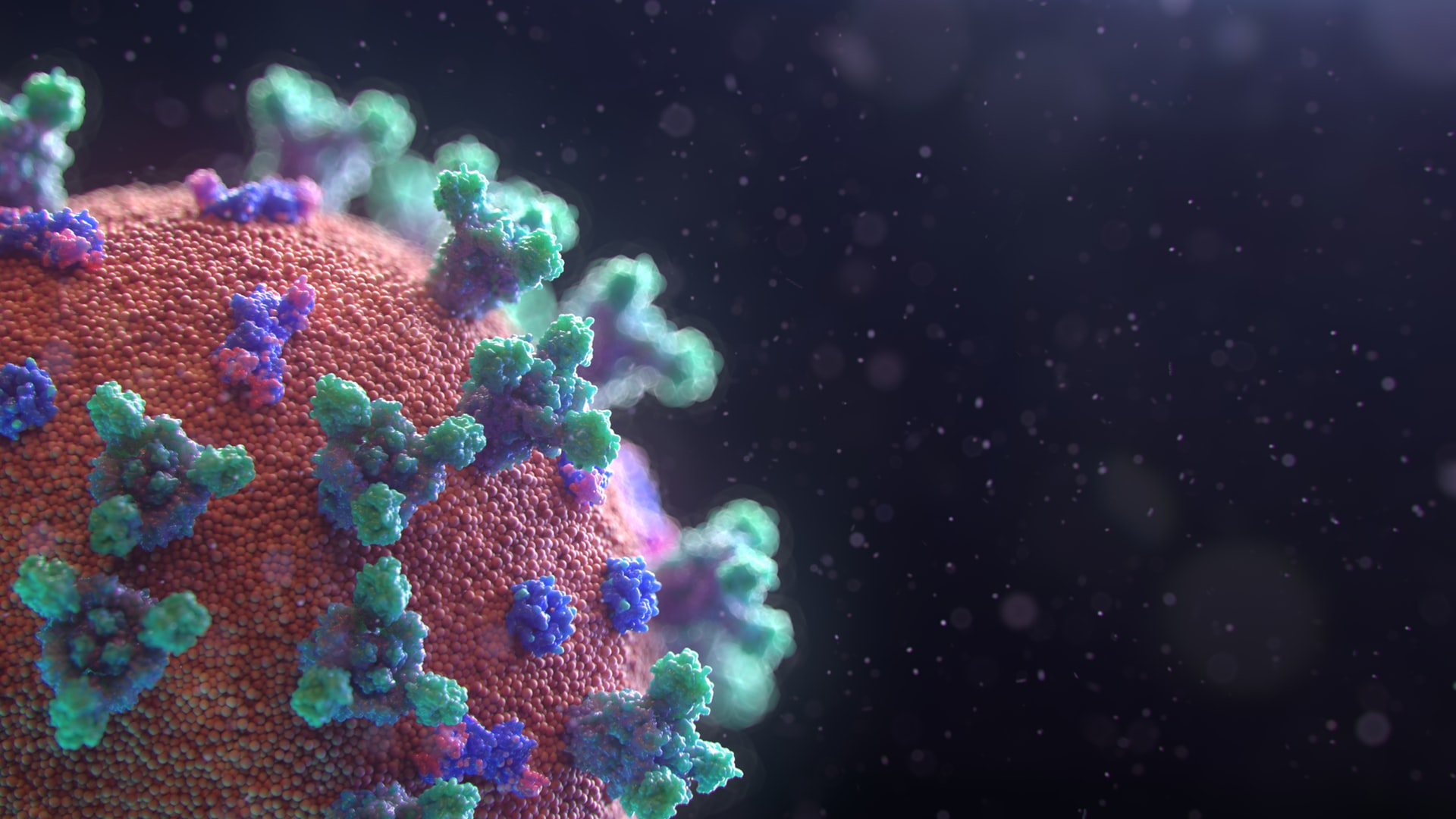 neue Animation des Coronavirus