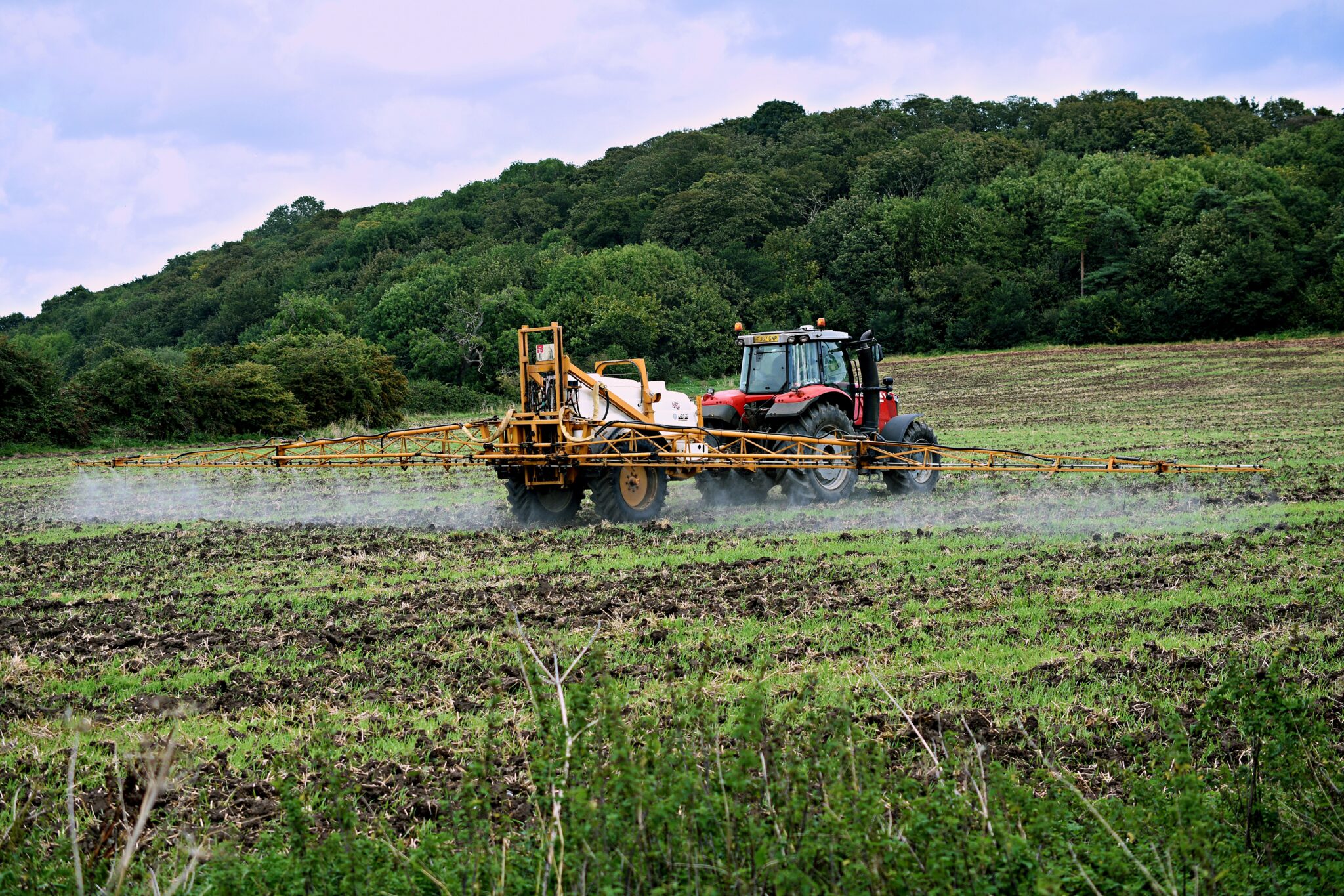 Traktor versprüht Pestizide oder Dünger auf einem Feld