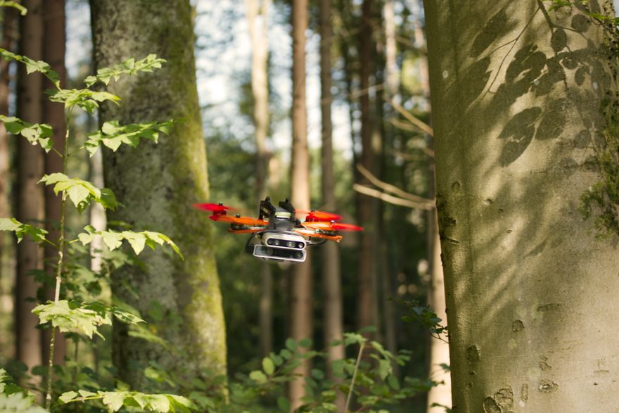 Drohne im Wald.