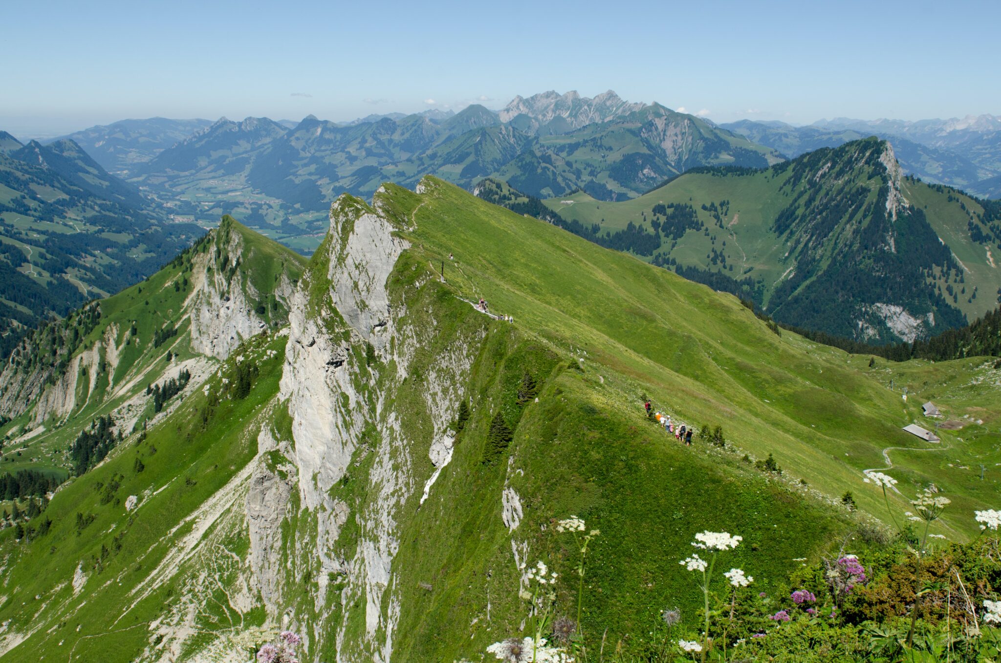 Grüne Alpen